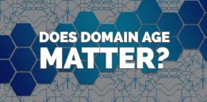 Does Domain Age Matter