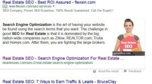 example of organic results for real estate SEO