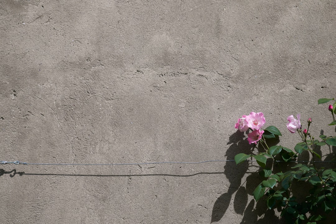 A minimalist close-up photo of a thin crack spreading across a modern, gray concrete wall, representing a small flaw threatening a large structure.