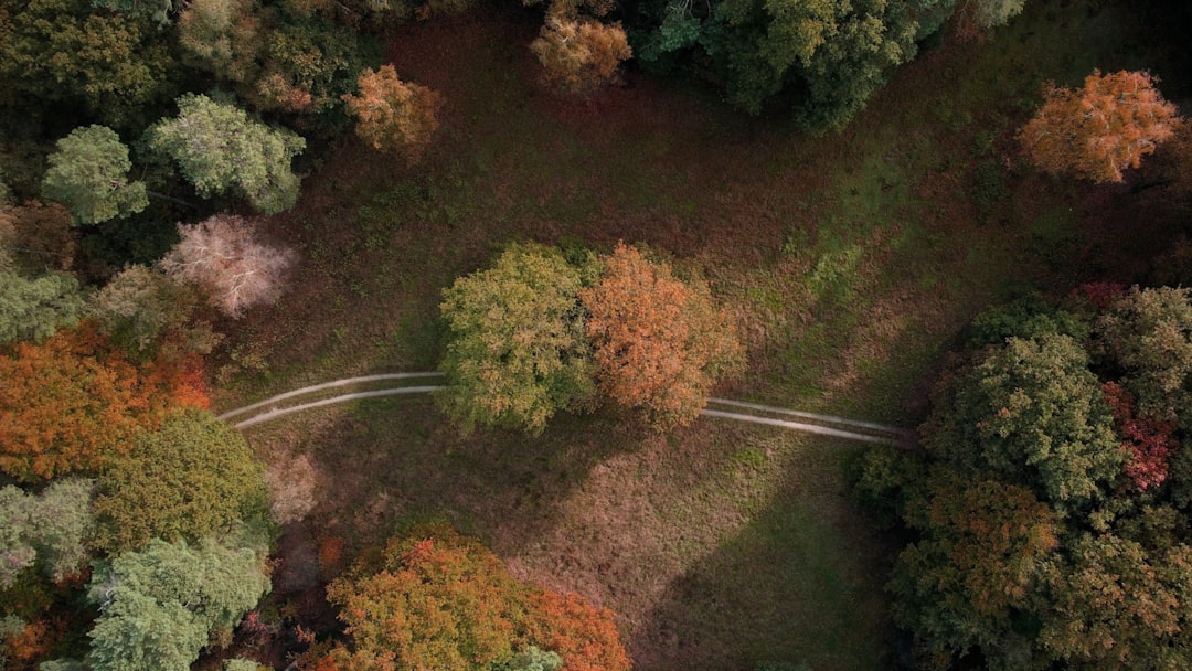 An aerial drone view of two perfectly parallel roads running through a dense green forest, representing the concept of decoupled marketing and engineering sprints.