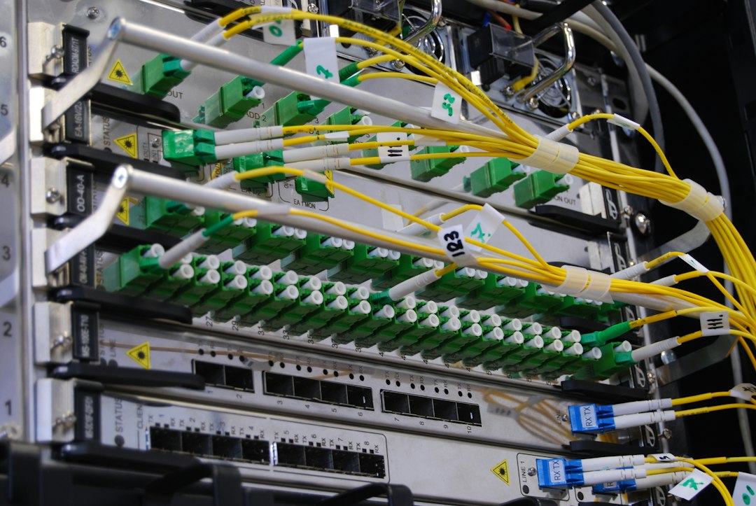 Neatly organized and color-coded network cables plugged into a clean server rack, representing a well-managed technical infrastructure after a garbage collection protocol.